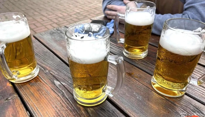 Restaurace Na Kovarne Jidlo A Piti - 29, U Kovárny