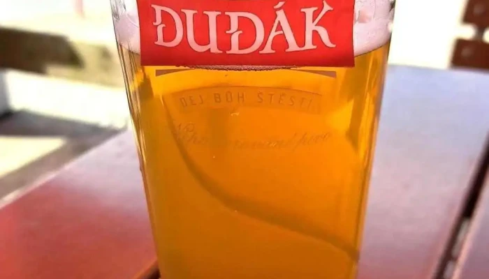 Restaurace Na Stare Horelice Jidlo A Piti - Masarykova 563