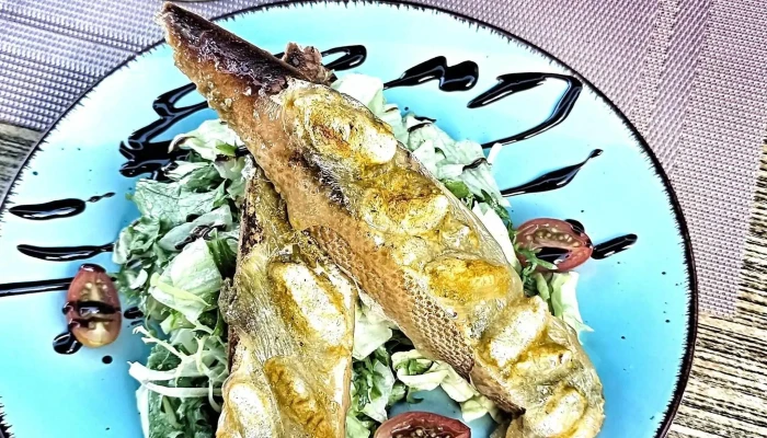 Restaurace Nahon Videa - U Křivačkárny 859