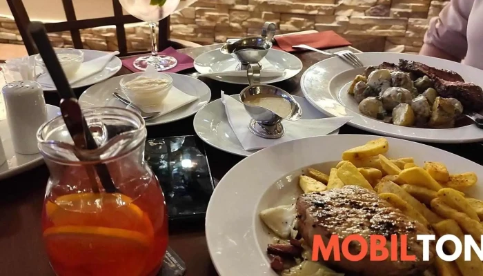 Restaurace Pod Ledem -  Hranolky - Ringhofferova 336