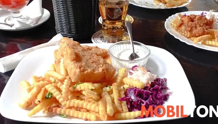 Restaurace U Berusky Fish And Chips - Nám. Nár. Povst. 19