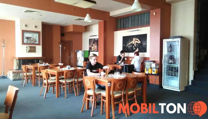 Restaurace U Holubů - 743 01 Bílovec 1