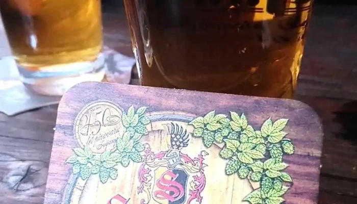 Restaurace U Partika -  Videa - Valdštejnská 282