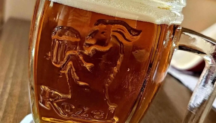 Restaurace U Pily Zdar Jidlo A Piti - Bezručova 186/6