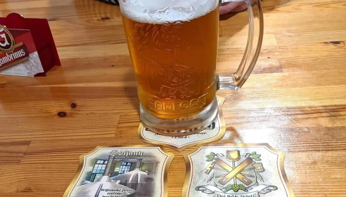 Restaurace U Pivovaru -  Hospoda - Chomutovská 457