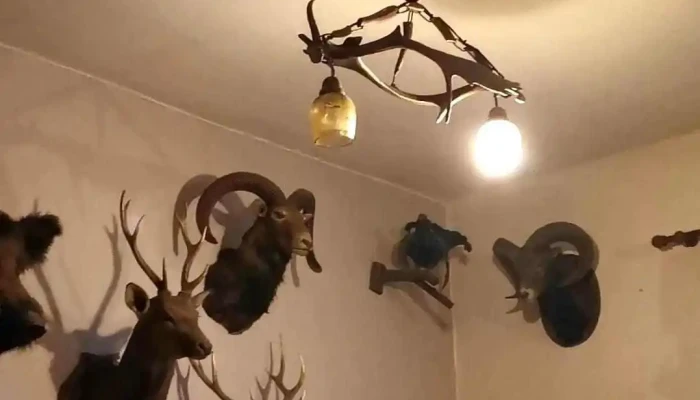 Restaurace U Suchanku Videa - Tyršova 218