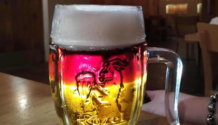 Restaurace U Tri Slunecnic Pivo - Dolní Nám. 307