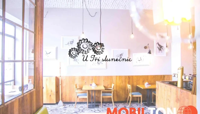 Restaurace U Tri Slunecnic Vse - Dolní Nám. 307