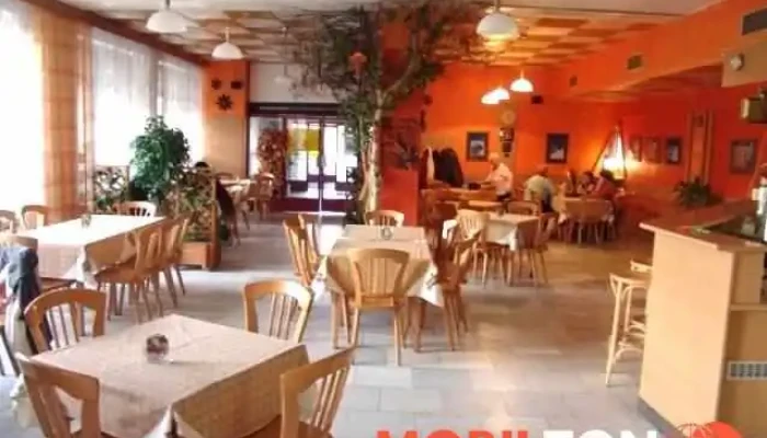 Restaurace U Tří Bříz - 796 01 Prostějov 1