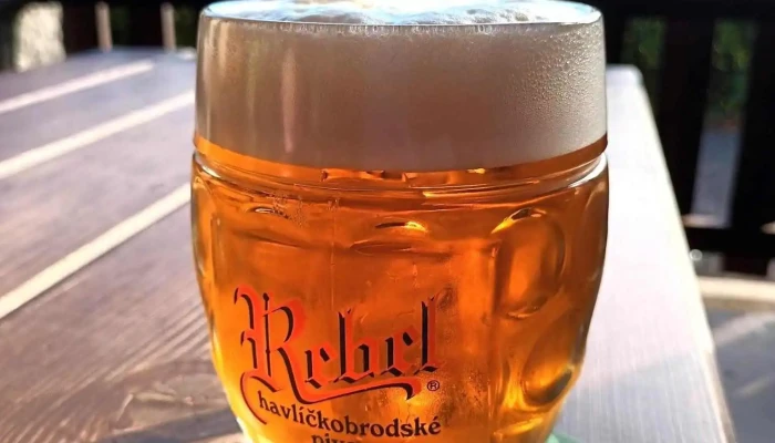 Restaurace U Zizky Jidlo A Piti - Husova 384