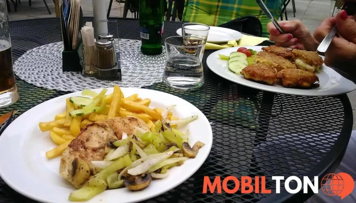 Restaurace V Podzamci   Pizzerie Jidlo A Piti - 3, Masarykova 65