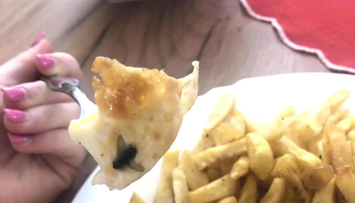 Restaurace Viola Jaromerice Nad Rokytnou Nam Miru 24 - Nám. Míru 24