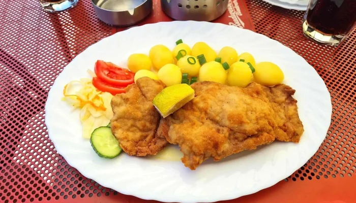 Restaurant Diana -  Rizek - Dubí-teplice 1
