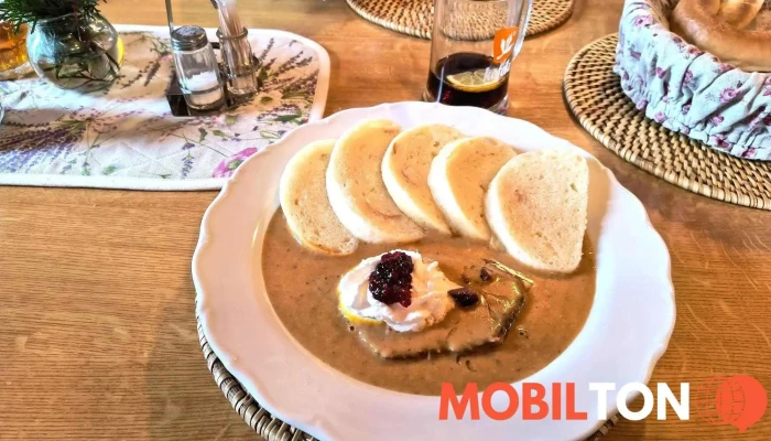 Restaurant Formanka -  Svickova Na Smetane - Kochánov