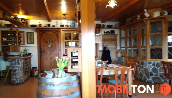 Restaurant Formanka -  Videa - Kochánov