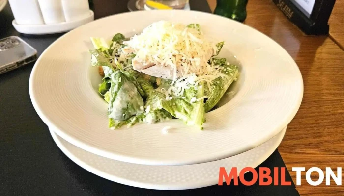 Salanda Salat Caesar - Beneše Z Loun 139