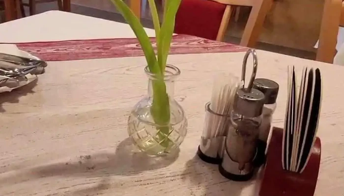 Skolni Restaurace Videa - Czech Republic