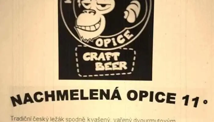 Sport Bar Koupaliste Menu - P. Holého 1920