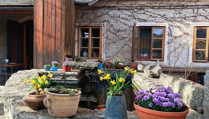 Staroceska Restaurace V Ruthardce Nejnovejsi - Dačického Nám. 15