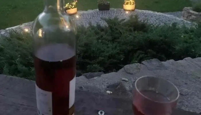 Statek Český dvůr - Nová Ves