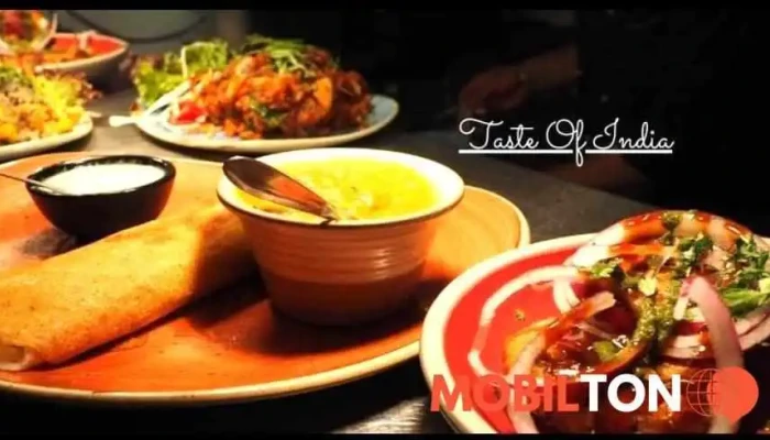 Taste Of India -  Vse - Havlíčkovo Nám. 177 580 01