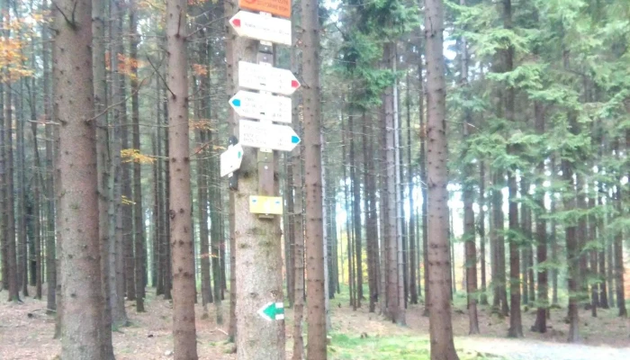 Tremsinska Bouda čislo - Czech Republic