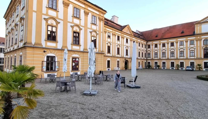 Treninkova Kavarna Splneny Sen Otevřeno Nyni - Nám. Míru 1
