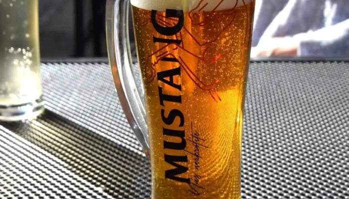 U Kocky Pivo - Lázeňské Nám. 554