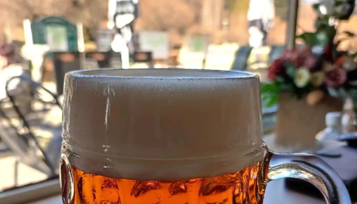 U Kocky Restaurace - Lázeňské Nám. 554
