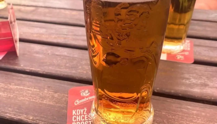 U Krale Vaclava Vse - Chržínská 28