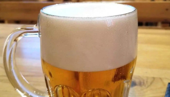 U Partyzana Jidlo A Piti - Olešovice