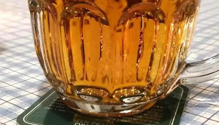 U Vychopnu Pivo - Jasenice 596