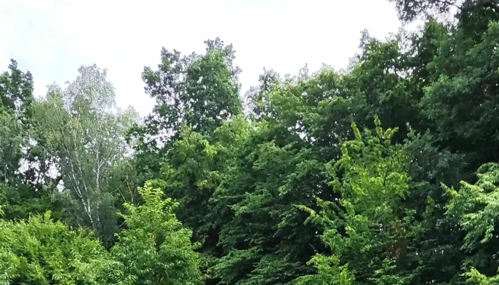 Valassky Senk Na Mlate Webova Stranka - Czech Republic