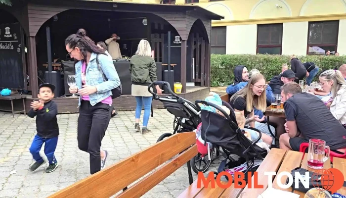 Vcelin Videa - Brána Do Městského Parku, Bezručova 206