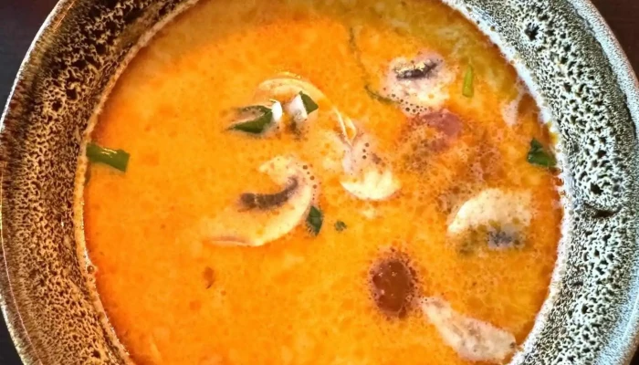 Viet Village -  Tom Yum - Kvítková 124/11