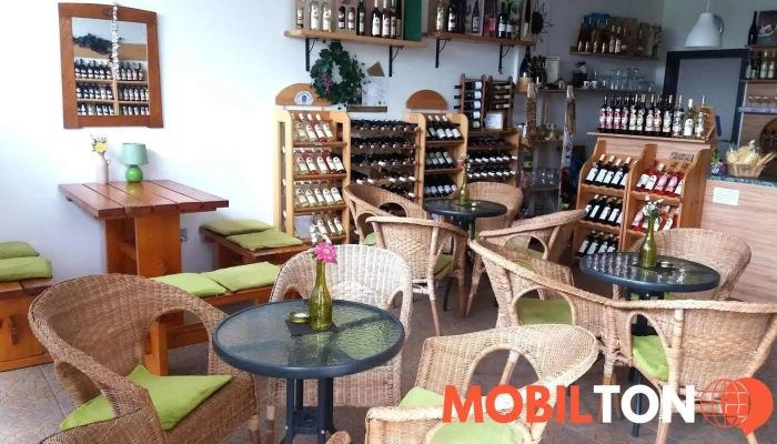Vinotéka Na Kovárně - 789 85 Mohelnice