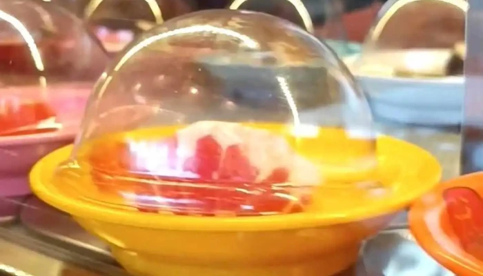 Wang Running Sushi -  Videa - Hradební 01/1