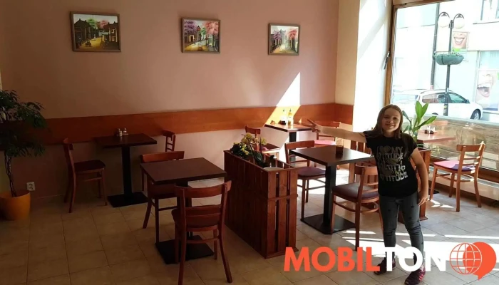 Wok Bistro -  Vse - Myslbekova 405 02
