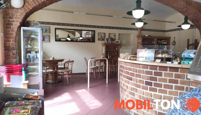 Zeleny Bar Sro   Eva Kabatova Vzhled A Atmosfera - Havlíčkova 48/48