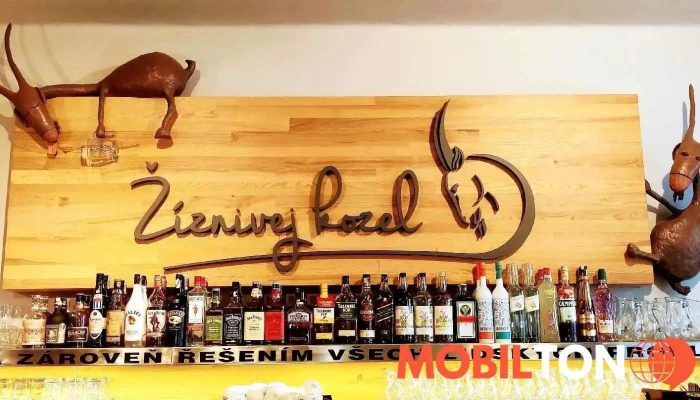 Ziznivej Kozel Vse - Pražská 123