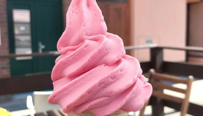 Zmrzlina Zebrak Instagram - Plzeňská 30